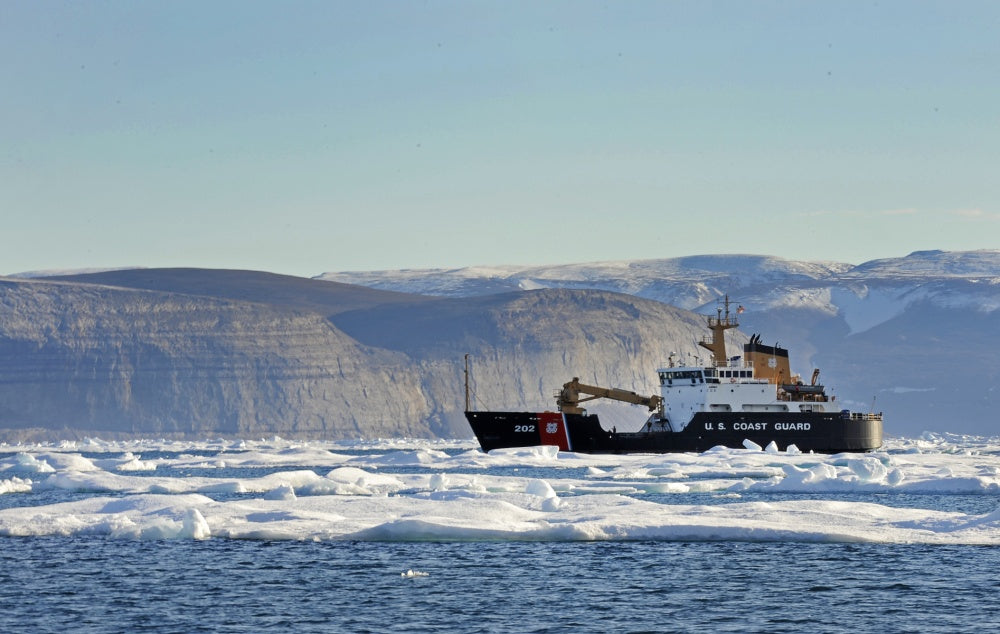 USCGC Willow (WLB-202) L91cm Ship Model