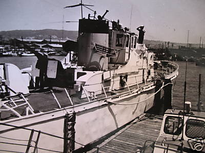 USCGC Cape Carter (WPB-95309) 36 Inches L Ship Model