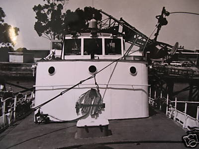 USCGC Cape Carter (WPB-95309) 36 Inches L Ship Model