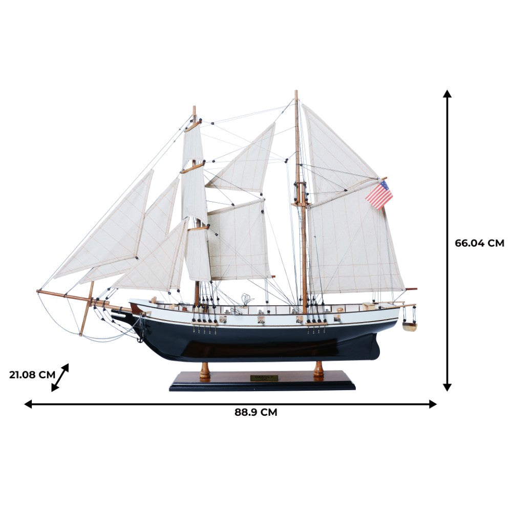 HARVEY MODEL SHIP PAINTED | High-quality | Fully Assembled Wooden Ship Models For Wholesale