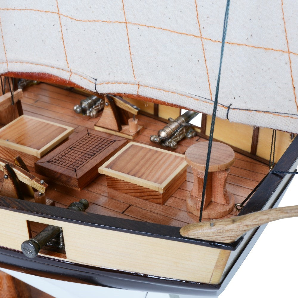 LYNX MODEL SHIP PAINTED | High-quality | Fully Assembled Wooden Ship Models For Wholesale