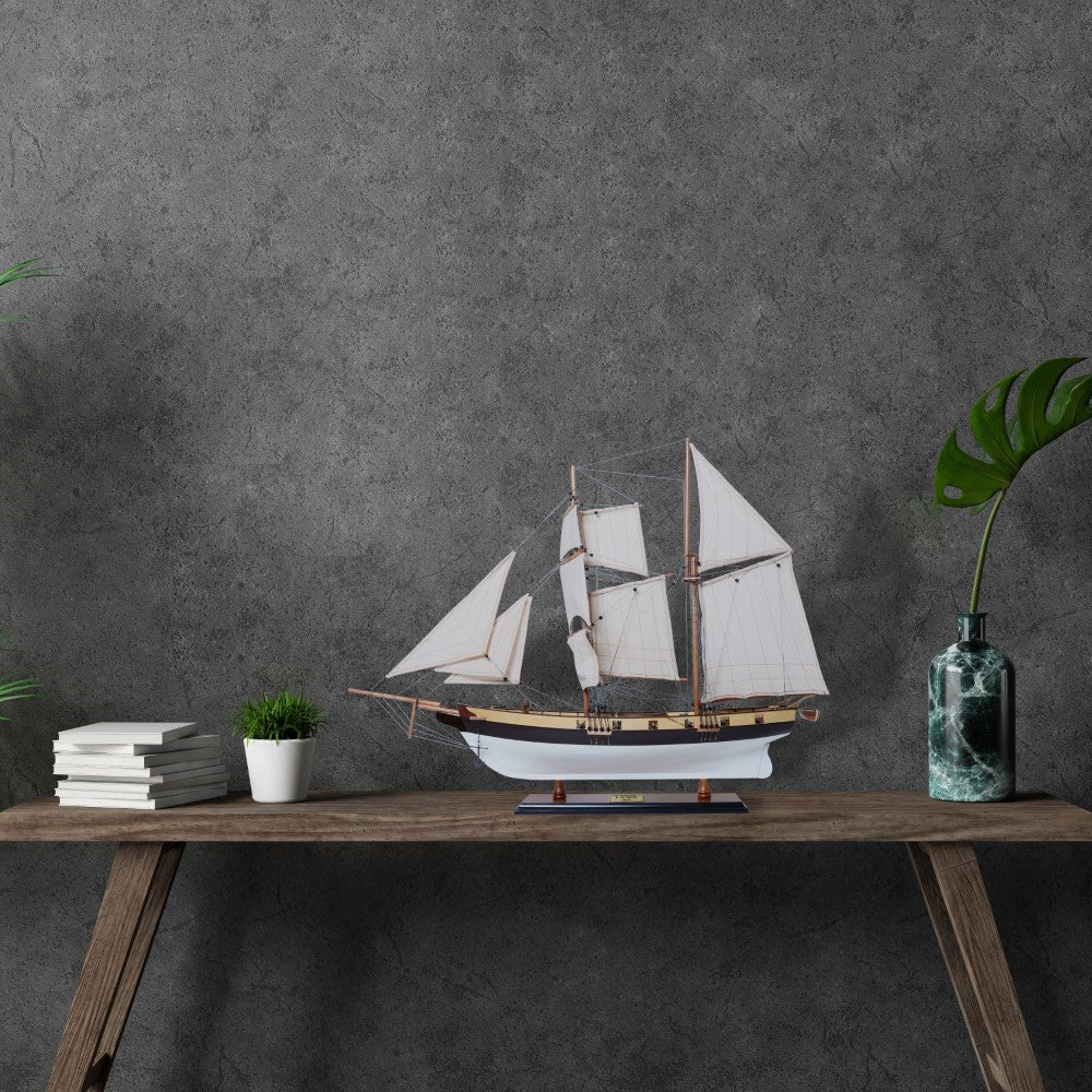 LYNX MODEL SHIP PAINTED | High-quality | Fully Assembled Wooden Ship Models For Wholesale