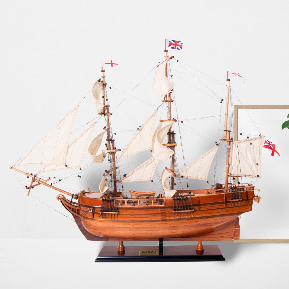 BEAGLE MODEL SHIP | High-quality | Fully Assembled Wooden Ship Models For Wholesale