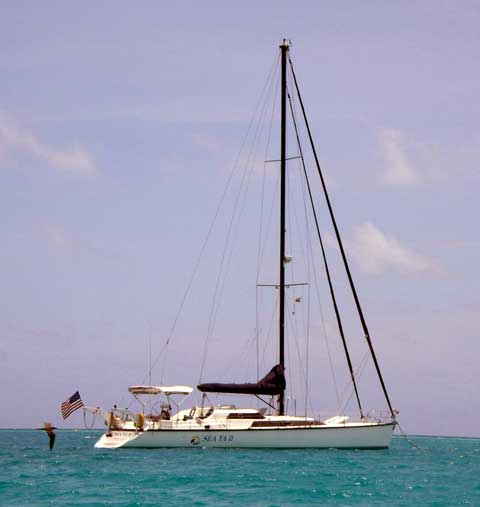 American MacGregor 65 30 Inches Ship Model