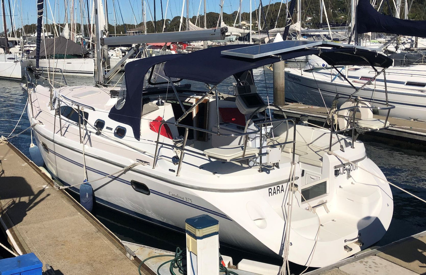 American Catalina 375 (Catalina Series) 30 Inches Ship Model