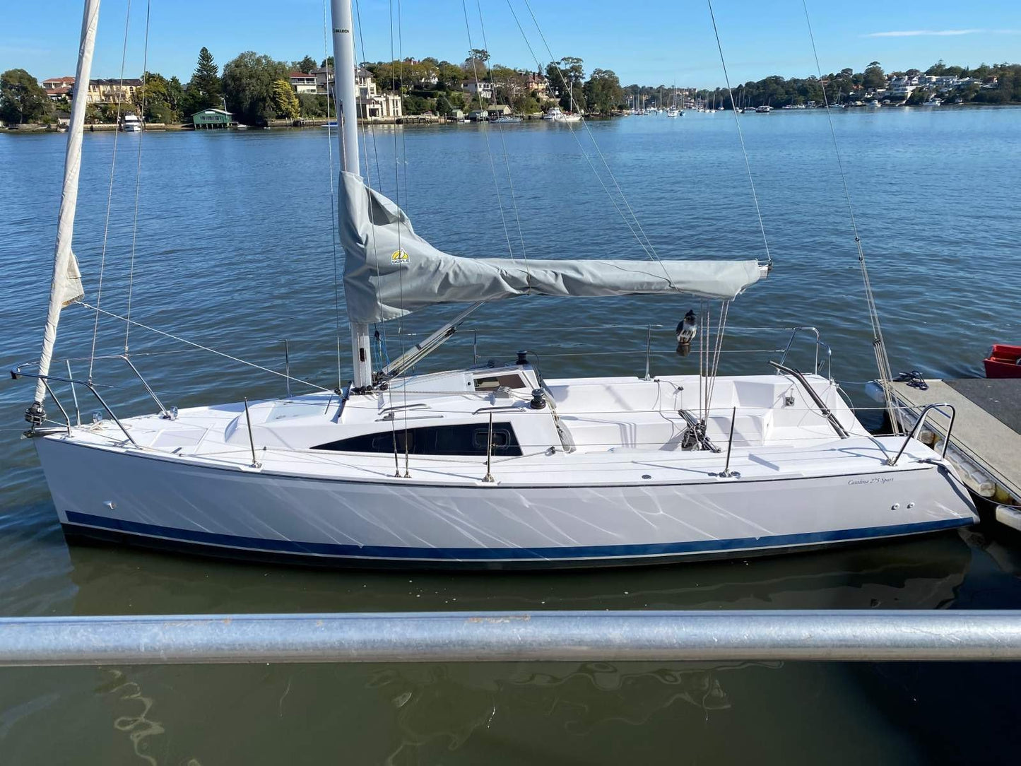 American Catalina 275 Sport (Catalina Series) 36 Inches Ship Model
