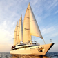 French Le Ponant (Ponant Fleet) 30 Inches Ship Model