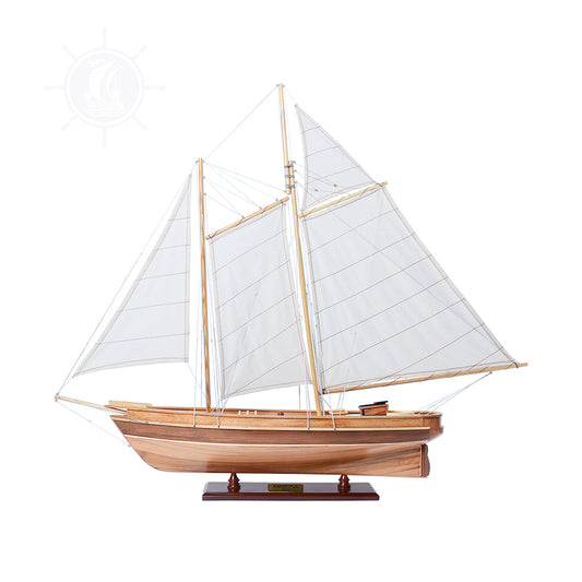 AMERICA Model Yacht Small | Museum-quality | Partially Assembled Wooden Yacht Model For Wholesale