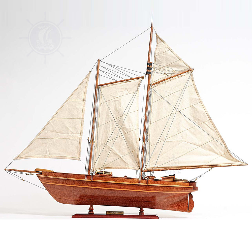 AMERICA CUP RACING YACHT FULLY ASSEMBLED MODEL SHIP | Museum-quality ship model For Wholesale