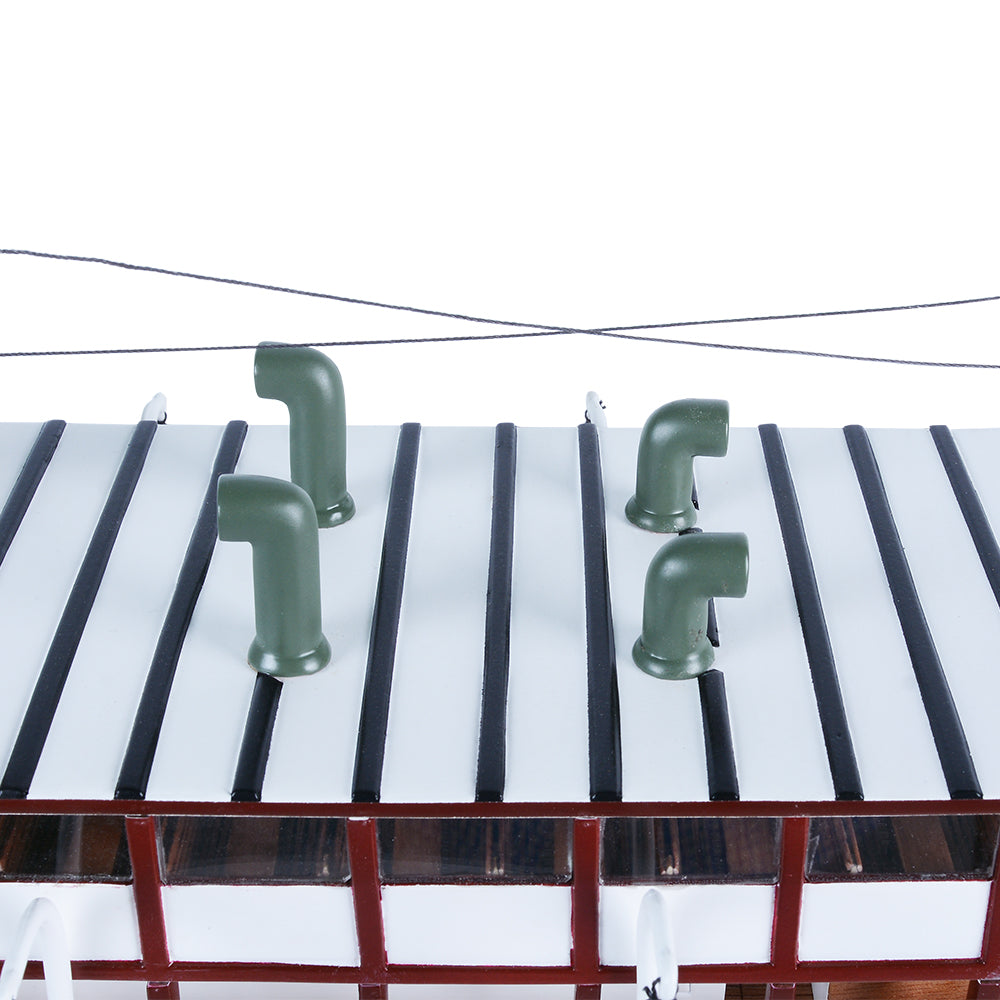 C139 - Earnslaw Painted