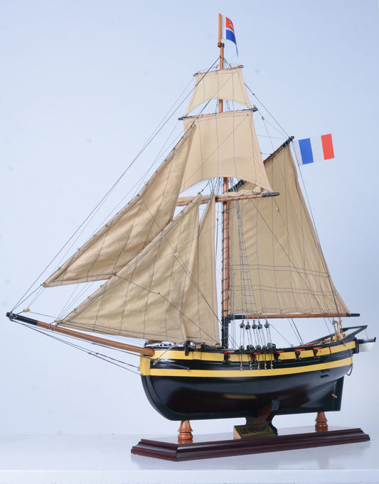 T398 - Le Renard custom