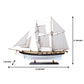 LYNX MODEL SHIP PAINTED | Museum-quality | Fully Assembled Wooden Ship Models For Wholesale