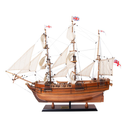 BEAGLE MODEL SHIP | Museum-quality | Fully Assembled Wooden Ship Models For Wholesale