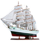 T391 - Cuauhtemoc Large (curved sails) L80