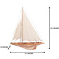 Y224 - Shamrock Open Hull L80 Sailboat Model