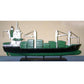 Bulk Carrier Large