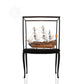 SAN FELIPE LARGE WITH FLOOR DISPLAY CASE | High-quality | Fully Assembled Wooden Ship Models For Wholesale
