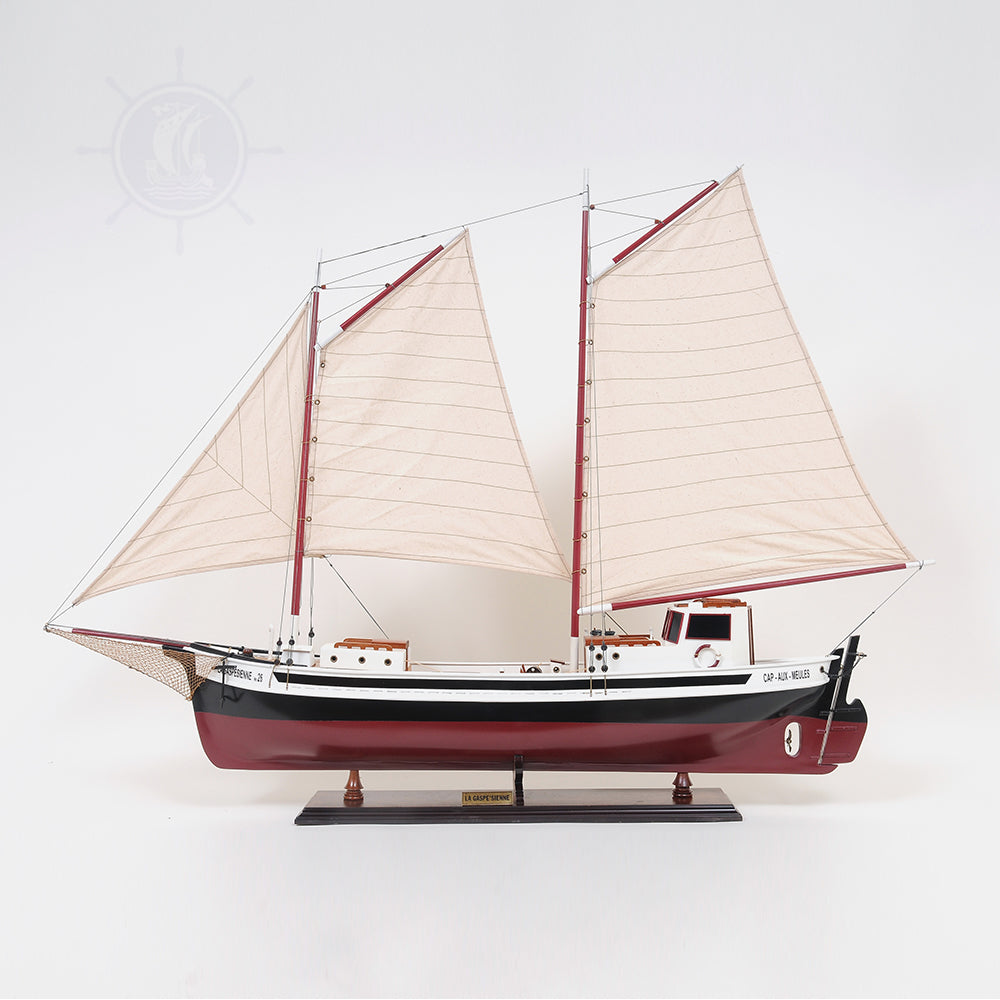 LA GASPÉSIENNE PAINTED | Museum-quality | Fully Assembled Wooden Ship Model For Wholesale