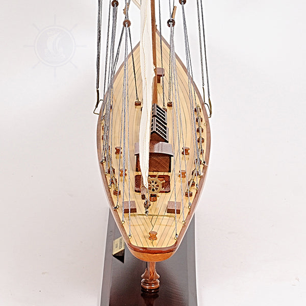 SHAMROCK SMALL Model Yacht | Fully Assembled Wooden Ship Model For Wholesale